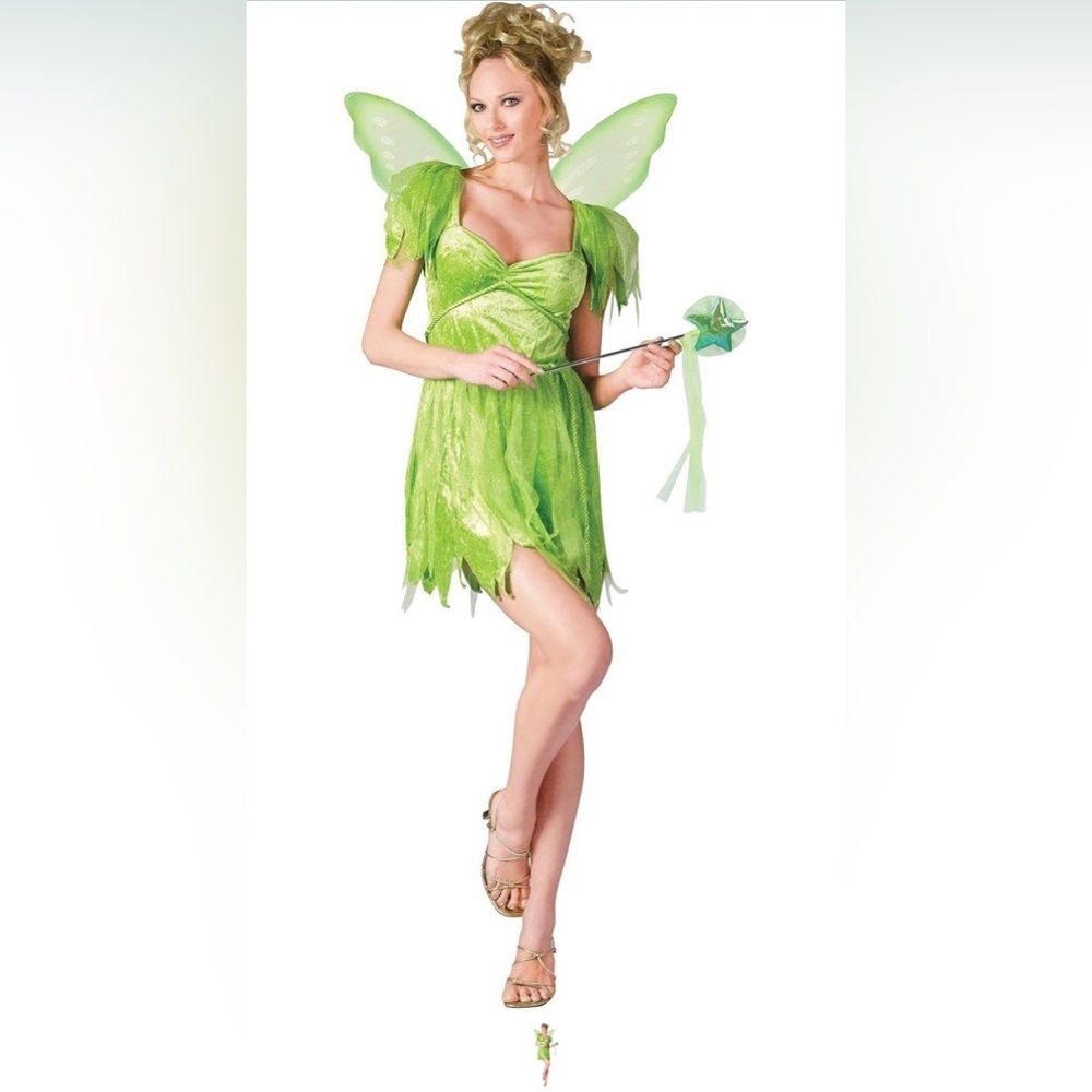 Fairy Costume